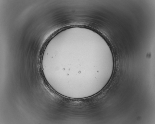 X0000114141119200911051415