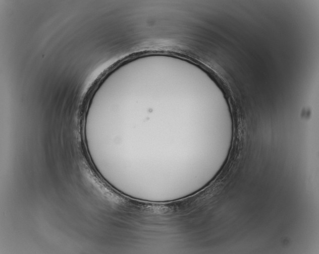 X0000114141120200911051415