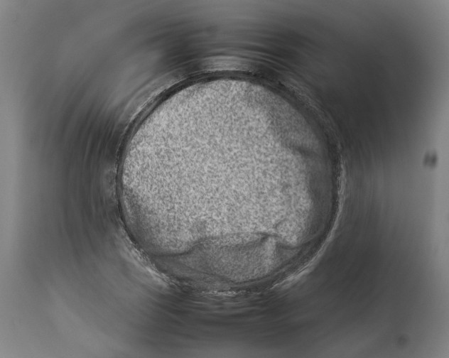 X0000114141121200911051415