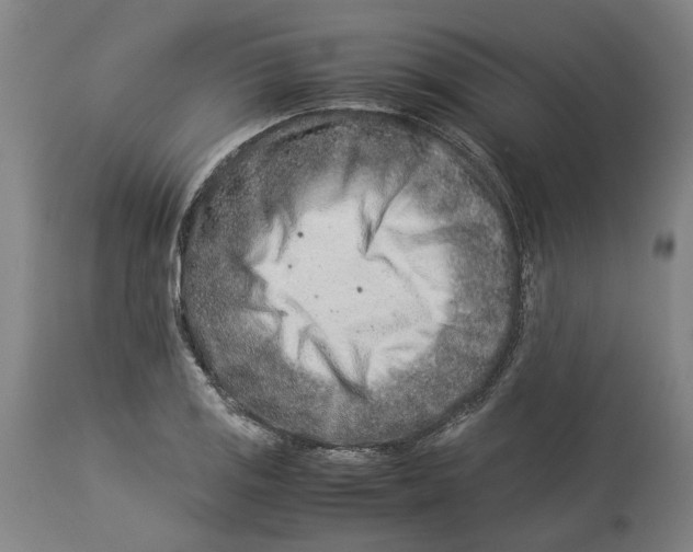 X0000114141125200911051415