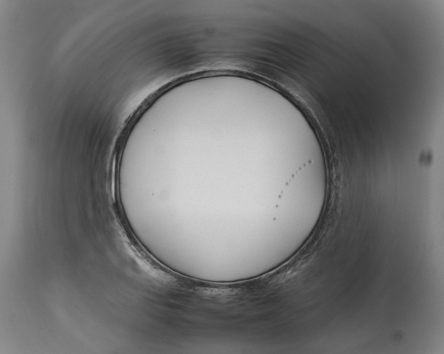 X0000114141127200911051415