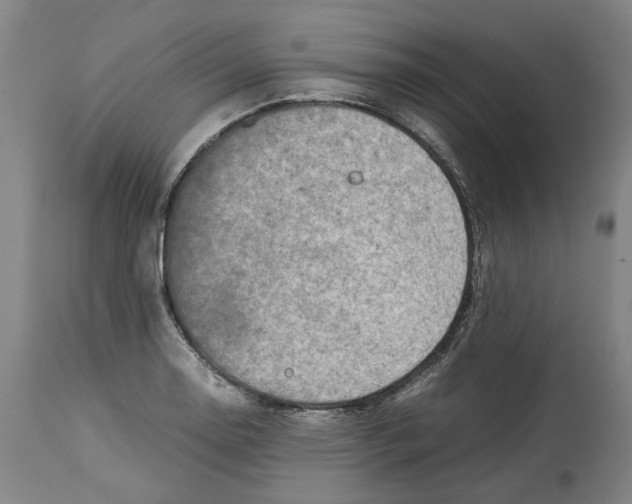 X0000114141130200911051415