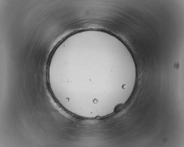 X0000114141134200911051415