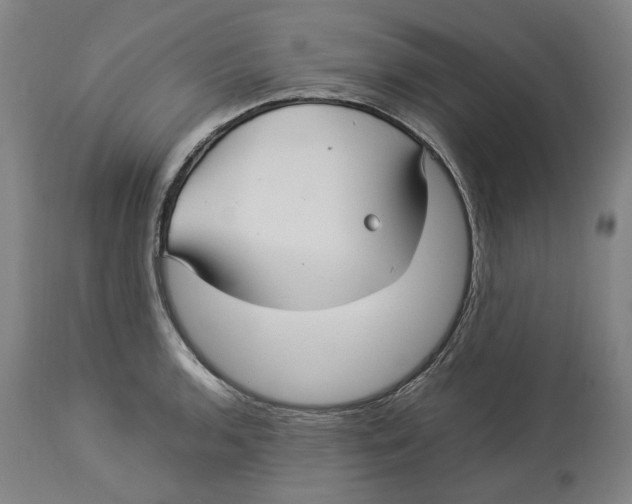 X0000114141136200911051415