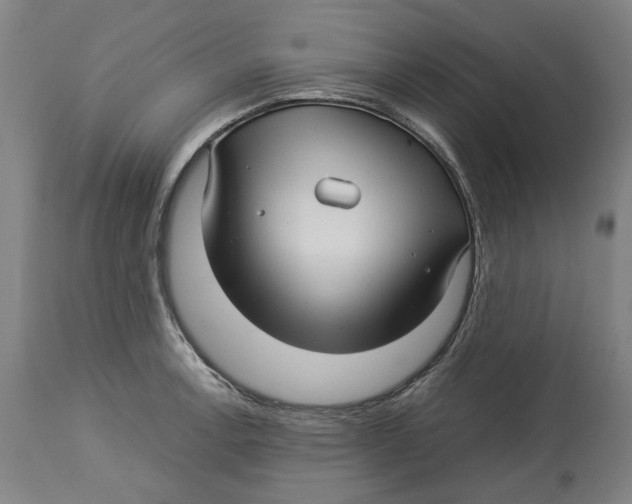 X0000114141138200911051415