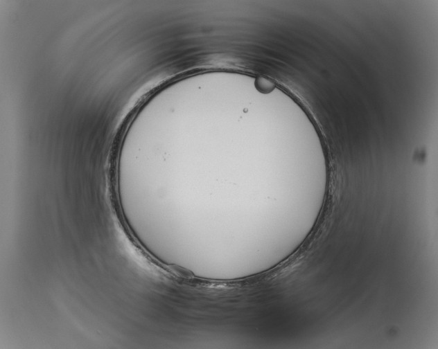 X0000114141139200911051415