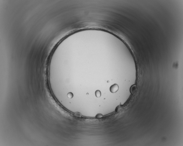 X0000114141142200911051415