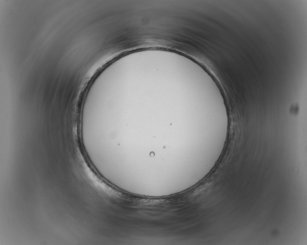 X0000114141143200911051415