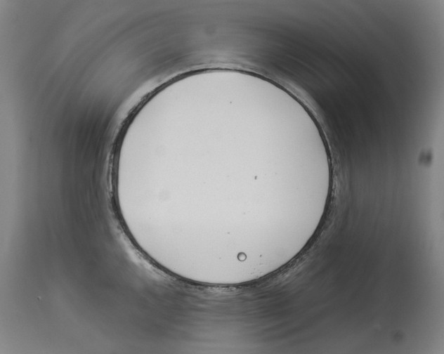 X0000114141144200911051415