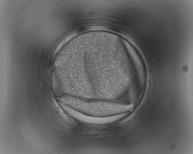 X0000114141145200911051415