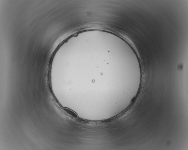 X0000114141146200911051415