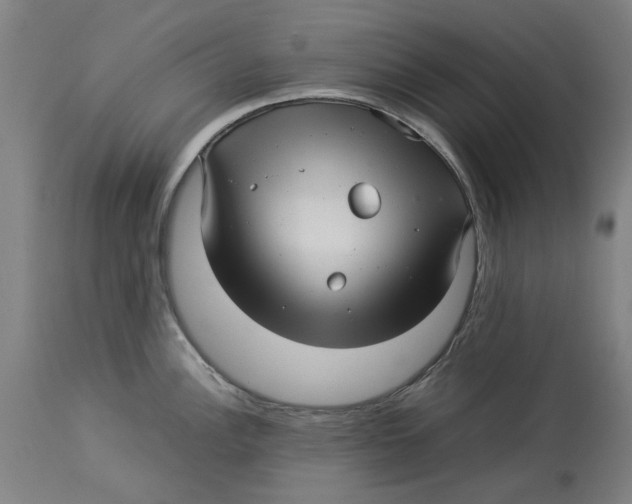 X0000114141148200911051415