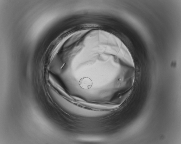 X0000114141151200911051415