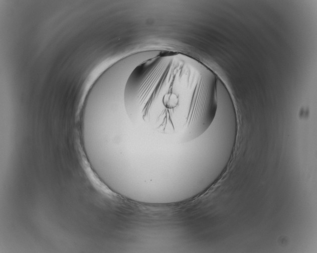 X0000114141152200911051415