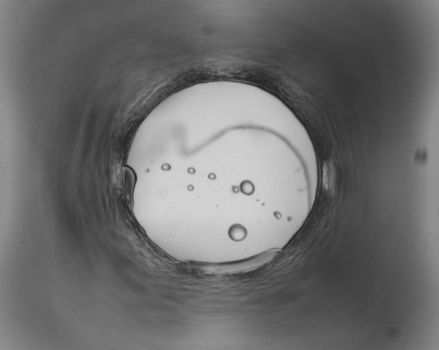 X0000114141155200911051415