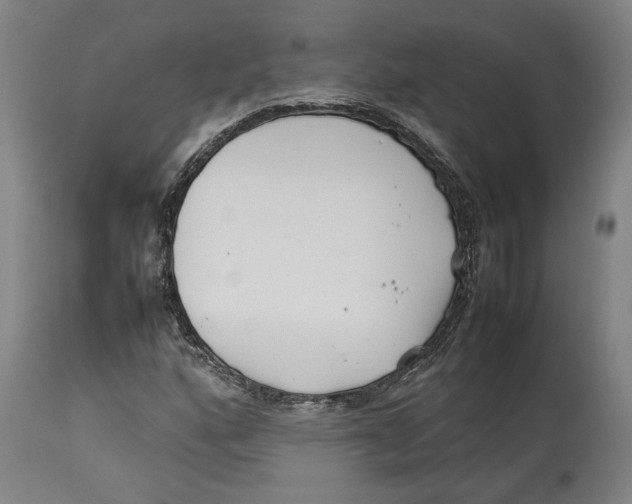 X0000114141160200911051415