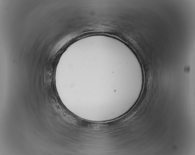 X0000114141163200911051415