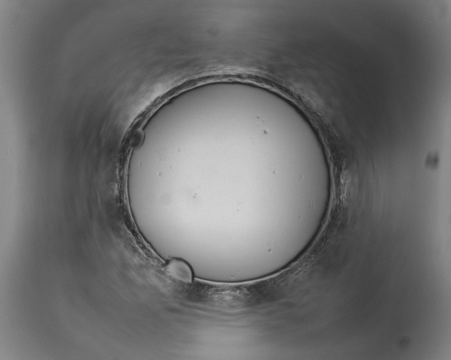 X0000114141165200911051414