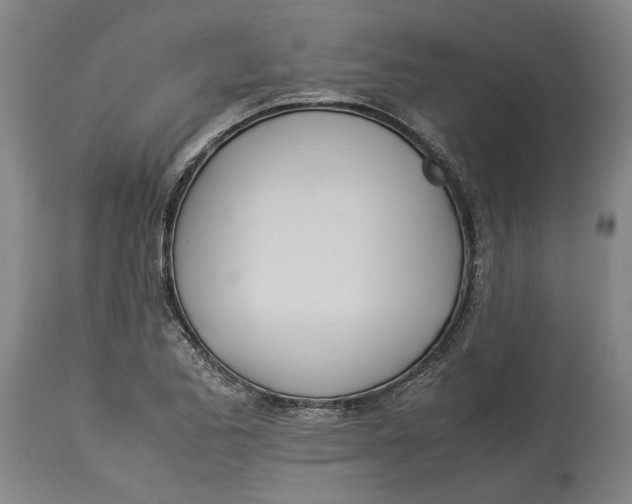 X0000114141173200911051414