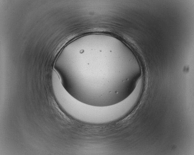 X0000114141177200911051414