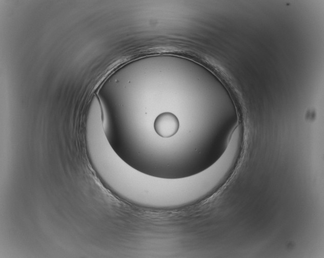 X0000114141185200911051414