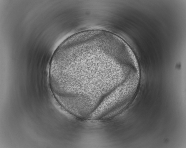 X0000114141198200911051414