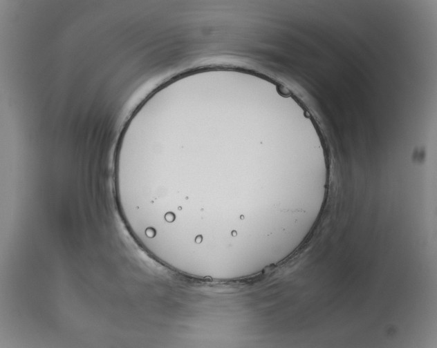 X0000114141199200911051414