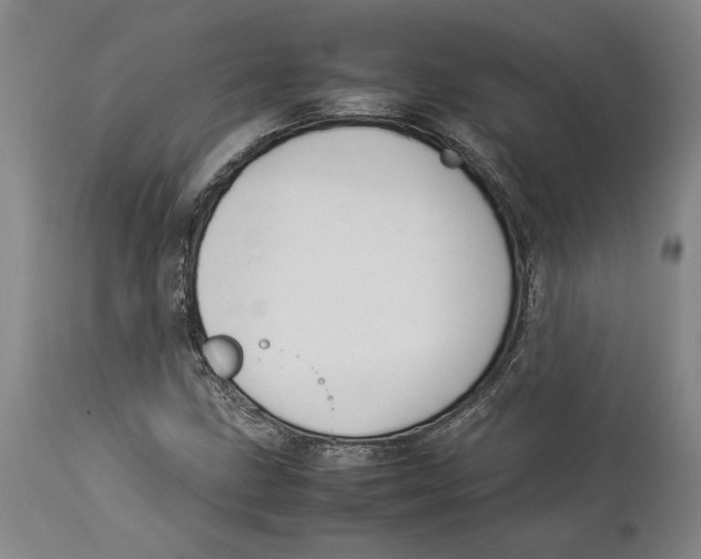 X0000114141211200911051413