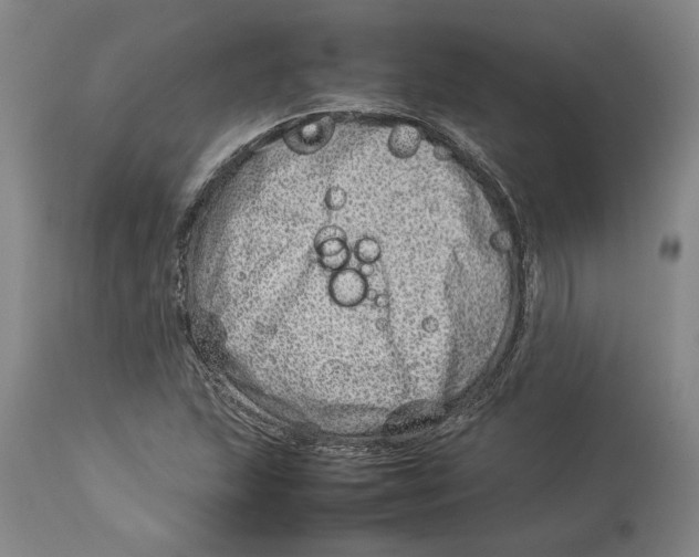 X0000114141215200911051414