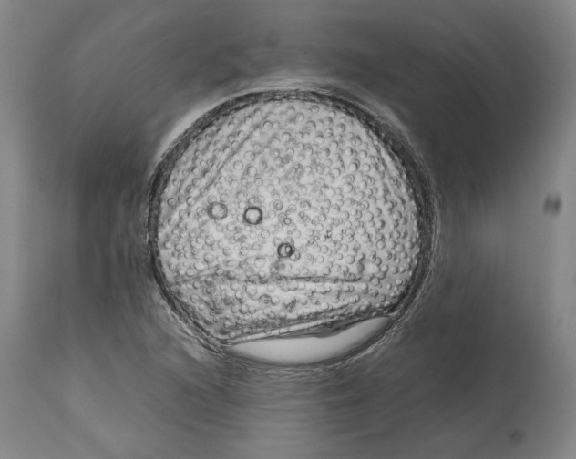 X0000114141216200911051414