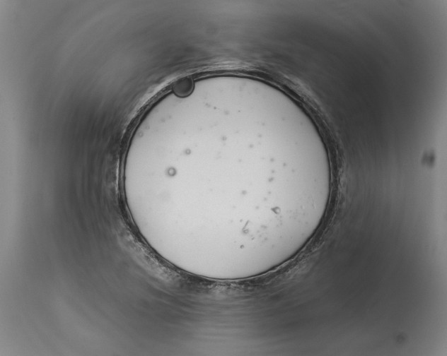 X0000114141220200911051414