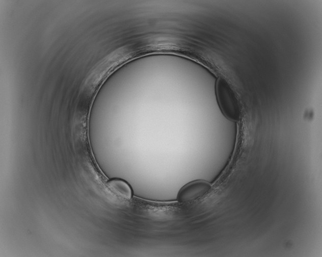 X0000114141225200911051414