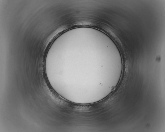 X0000114141229200911051414