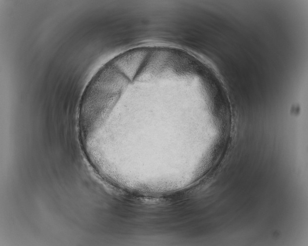 X0000114141231200911051414