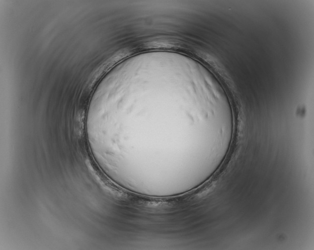 X0000114141233200911051414