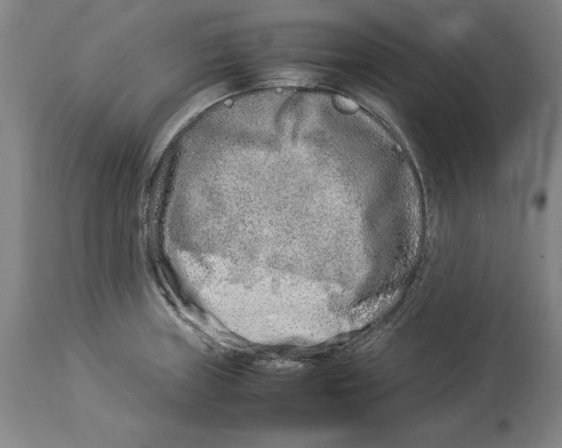 X0000114141235200911051414