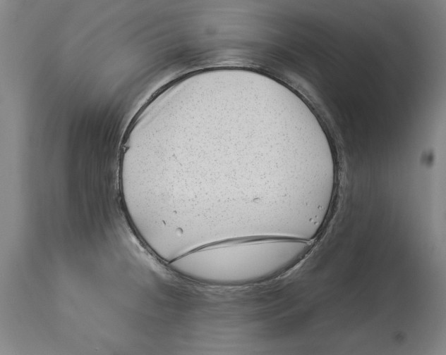 X0000114141236200911051414