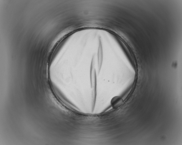 X0000114141238200911051414