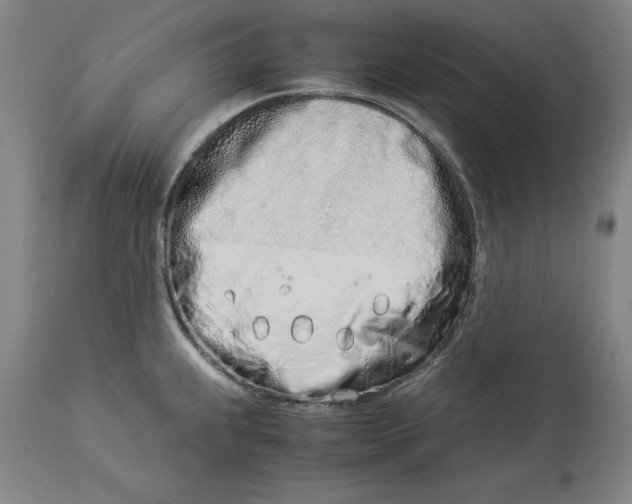 X0000114141239200911051414