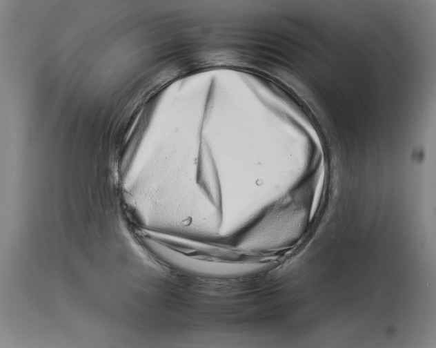 X0000114141241200911051414