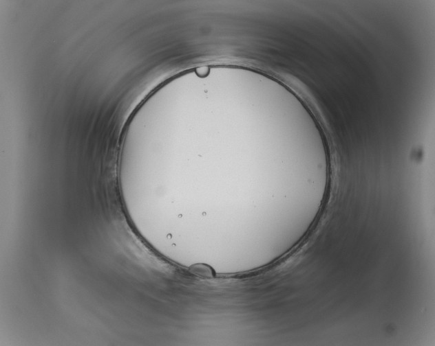 X0000114141244200911051414