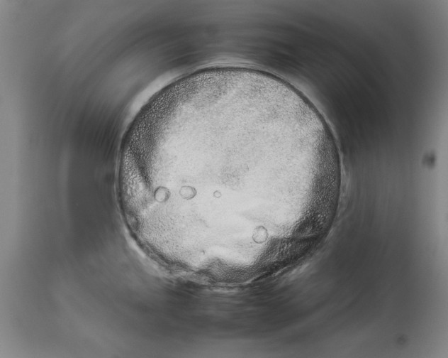 X0000114141245200911051414