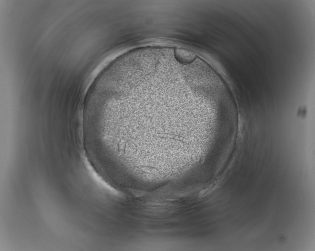 X0000114141247200911051414