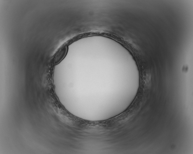 X0000114141256200911051413