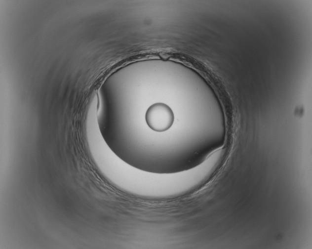 X0000114141257200911051413