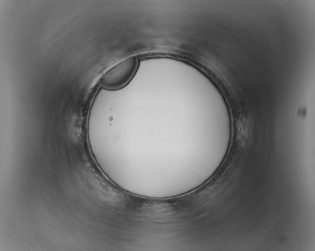 X0000114141260200911051413