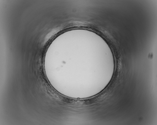 X0000114141261200911051413