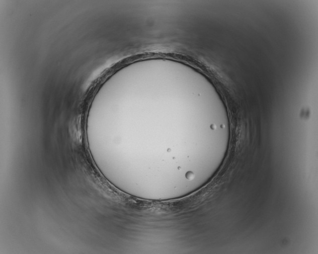 X0000114141262200911051413