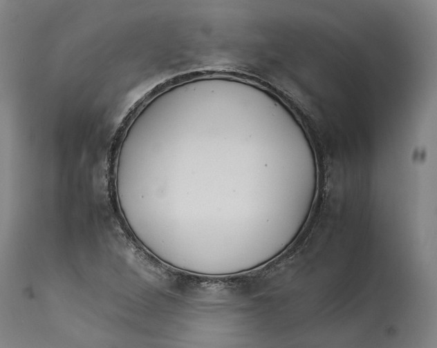 X0000114141264200911051413