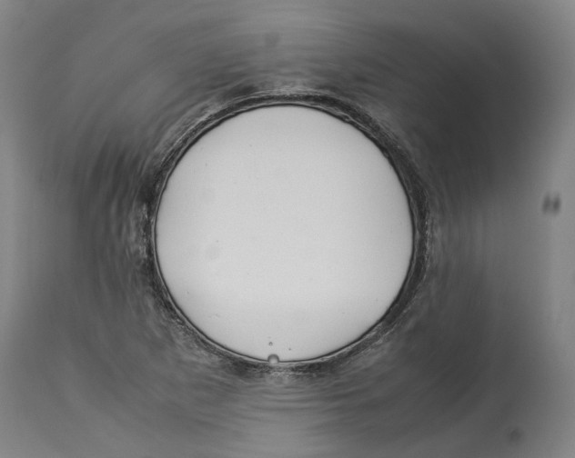 X0000114141265200911051413